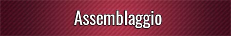 Assemblaggio