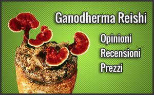 ganodherma reishi banner