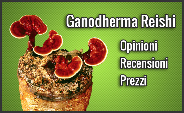 ganodherma reishi banner