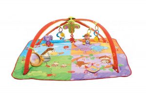 Tiny Love Gymini Move and Play