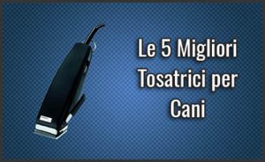migliori-tosatrici-per-cani