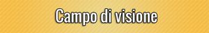 Campo di visione