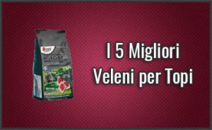 migliori-veleni-per-topi