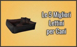 miglior-letto-per-cani