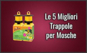 migliori-trappole-per-mosche