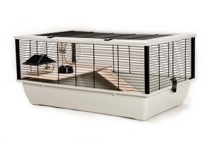 Little-Friends-TK51262