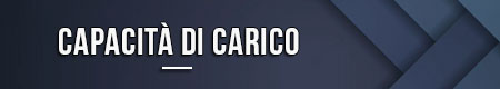 Capacità di carico