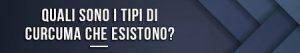 quali-sono-i-tipi-di-curcuma-che-esistono