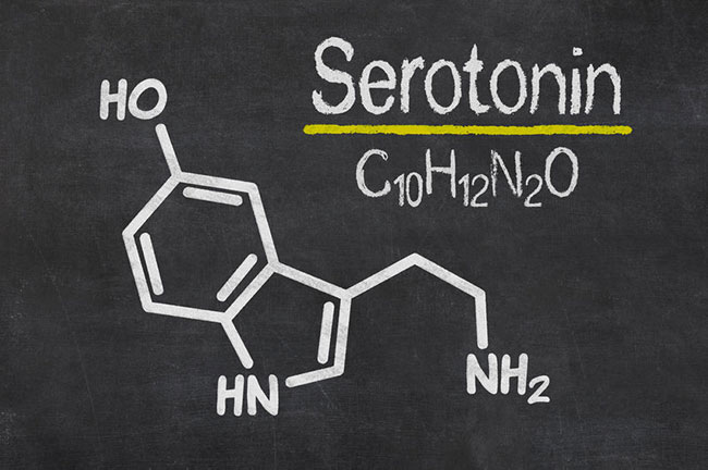 serotonina