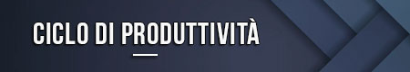 Ciclo di produttività
