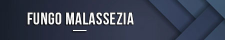 Fungo Malassezia