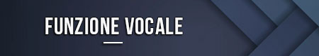 funzione-vocale
