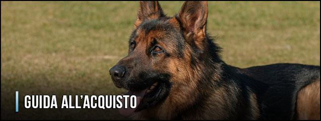 guida-all-acquisto-antiparassitari-per-cani