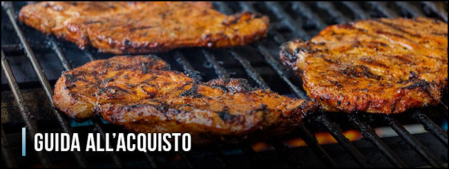 guida-all-acquisto-barbecue-a-gas