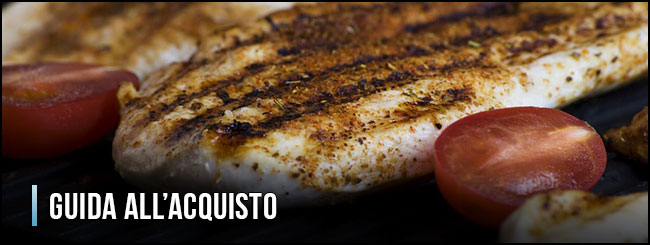 guida-all-acquisto-bistecchiere-elettriche