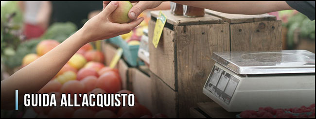 guida-all-acquisto-carrelli-per-la-spesa