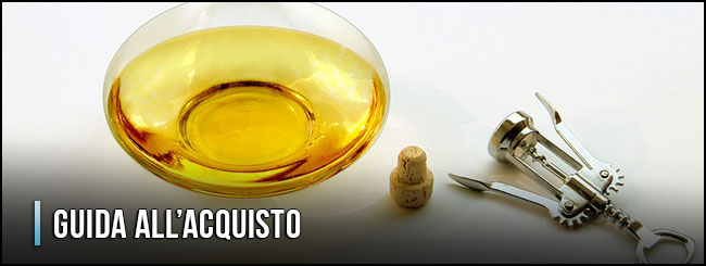guida-all-acquisto-decanter-per-vino