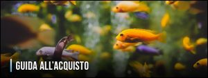 guida-all-acquisto-filtri-interni-per-acquari
