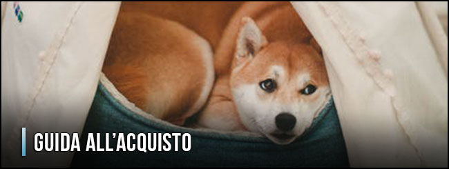 guida-all-acquisto-lettini-per-cani