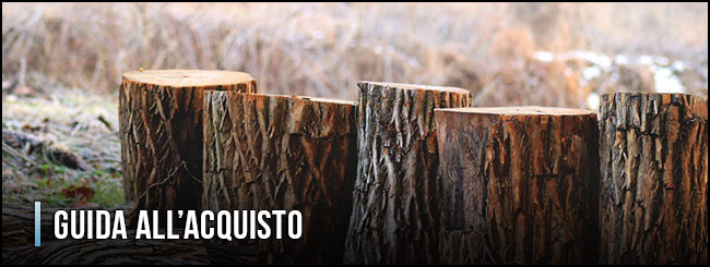 guida-all-acquisto-spaccalegna