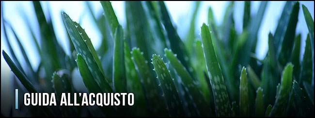 guida-all-acquisto-succhi-di-aloe-vera