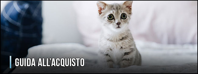 guida-all-acquisto-trasportini-per-gatti