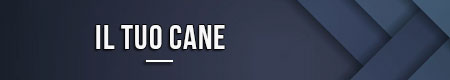 il-tuo-cane
