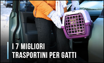 migliori-trasportini-per-gatti