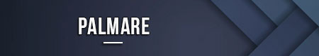 palmare
