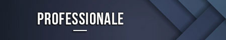 professionale