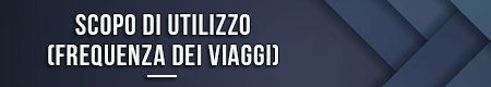 scopo-di-utilizzo-frequenza-dei-viaggi