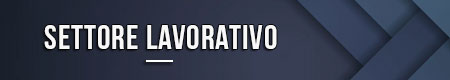 settore-lavorativo