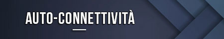 auto-connettivita