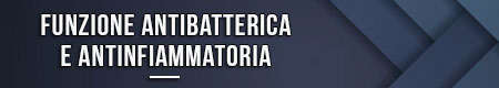 funzione-antibatterica-e-antinfiammatoria