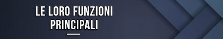 le-loro-funzioni-principali