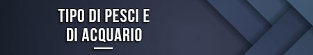 tipo-di-pesci-e-di-acquario