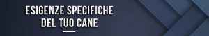 Esigenze specifiche del tuo cane