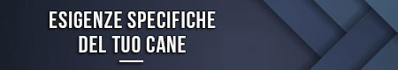 Esigenze specifiche del tuo cane