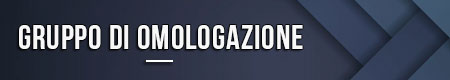Gruppo di omologazione