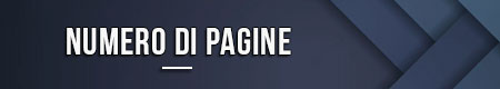 Numero di pagine
