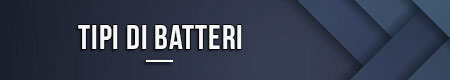 Tipi di batteri