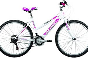 Le 5 Migliori Mountain Bike (MTB) per Qualità Prezzo - Maggio 2022