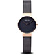 BERING 14539-166 mini