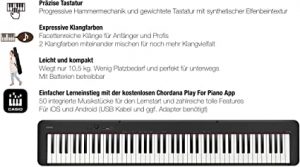 Casio Pianoforte Digitale 88