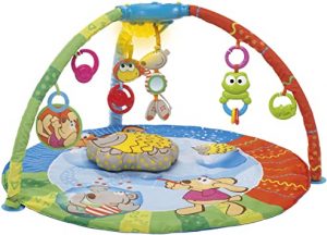 Chicco Bubble Gym 69028