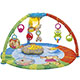 Chicco Bubble Gym 69028 mini