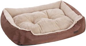 FEANDREA PGW04Z