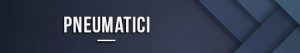 Pneumatici