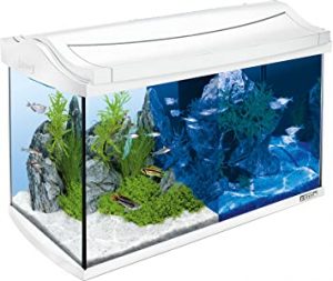 Tetra AquaArt LED