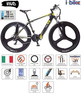 i-Bike Mountain Mud